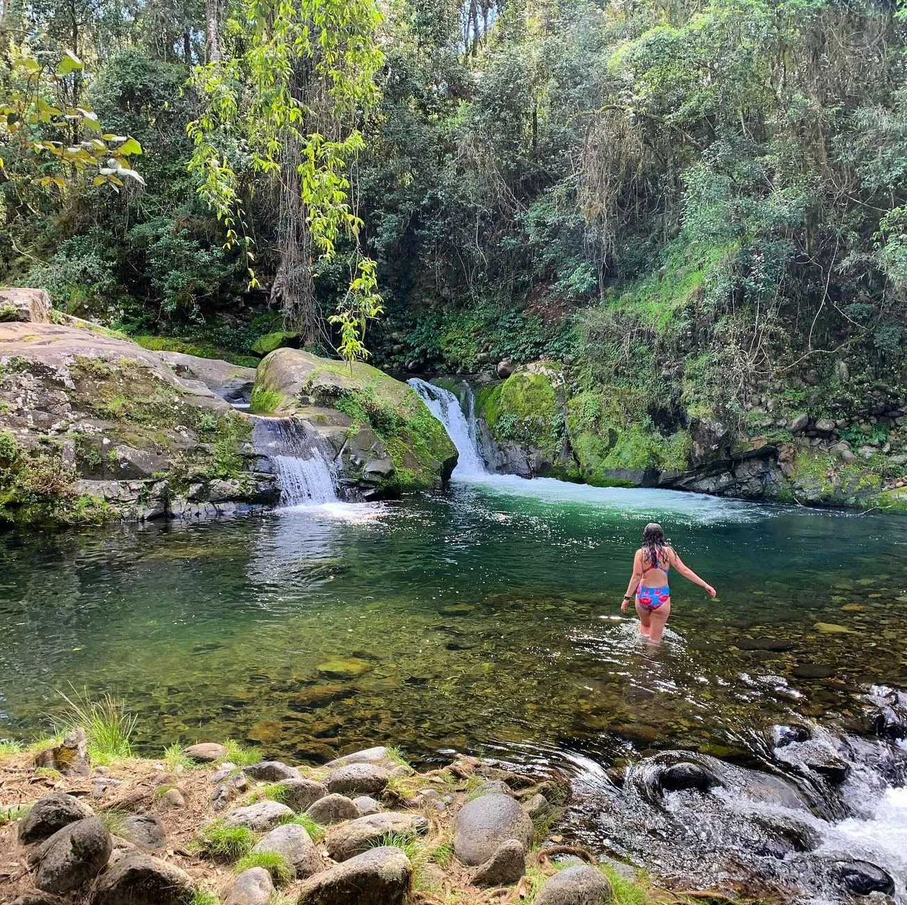 Barrington Tops National Park