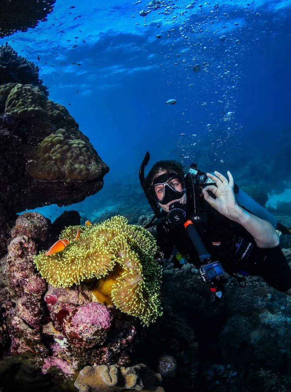Great Barrier Reef Tours