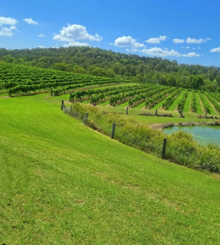 Hunter Valley wine regions