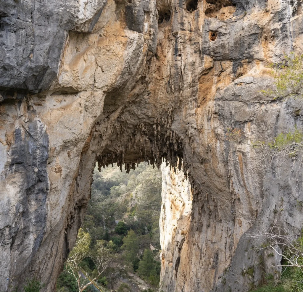 Jenolan Caves