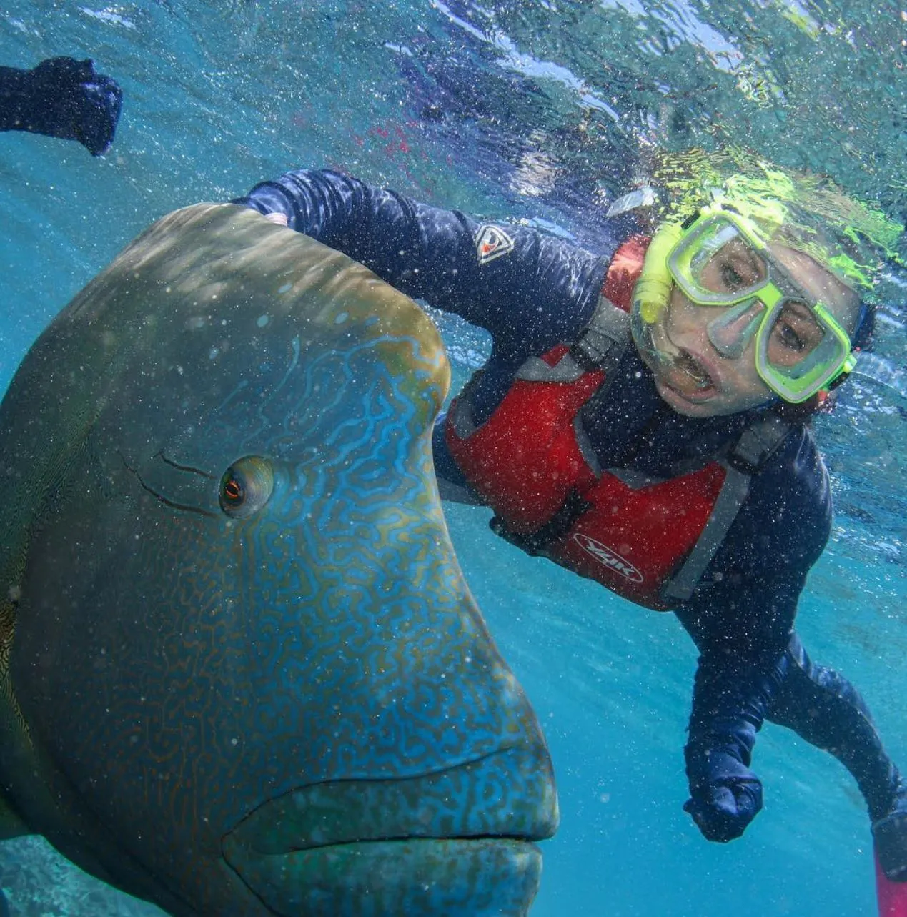 What Equipment Do You Need For Snorkelling On The Great Barrier Reef?