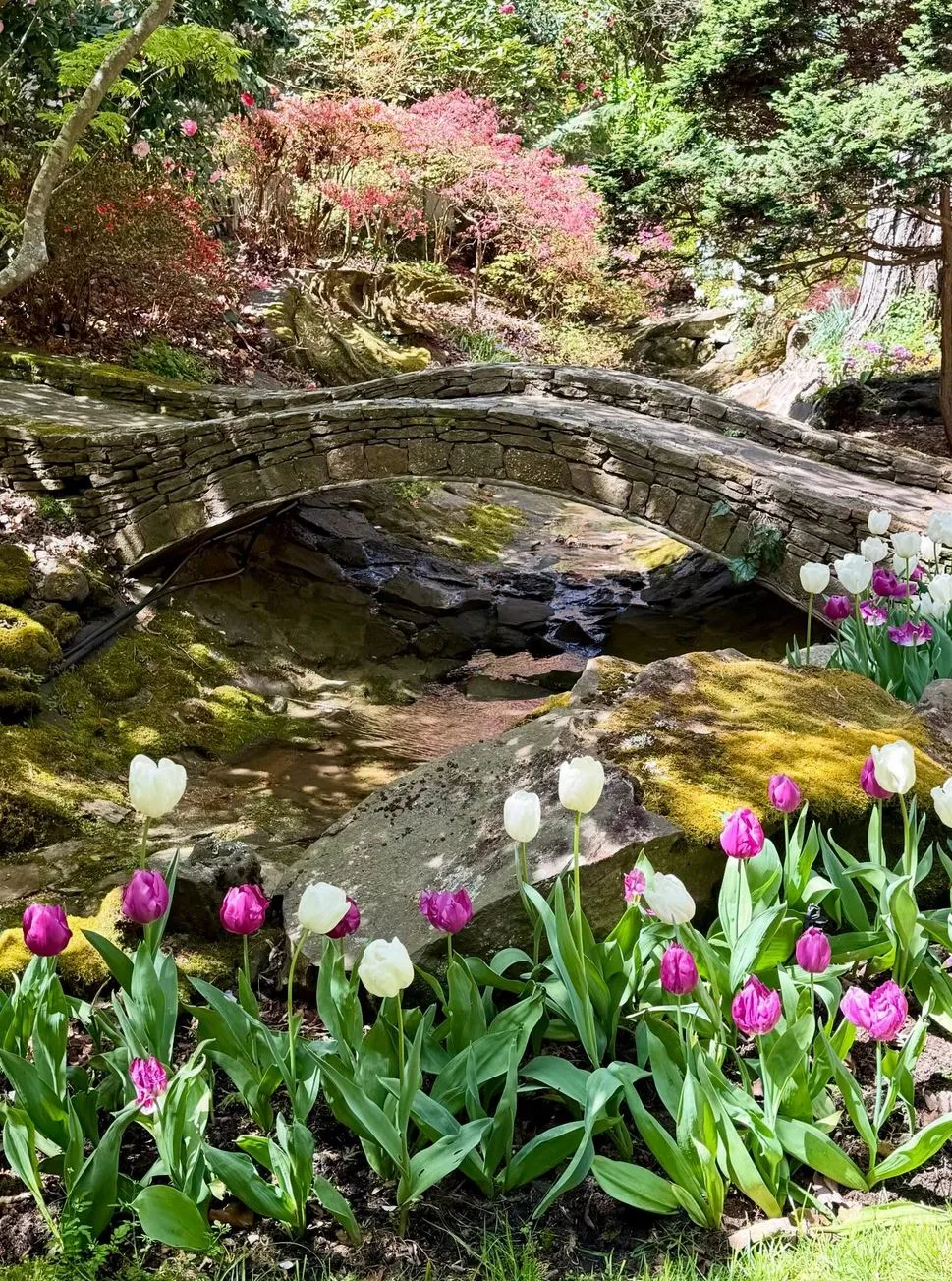 What Is The Best Time To Visit The Blue Mountains?