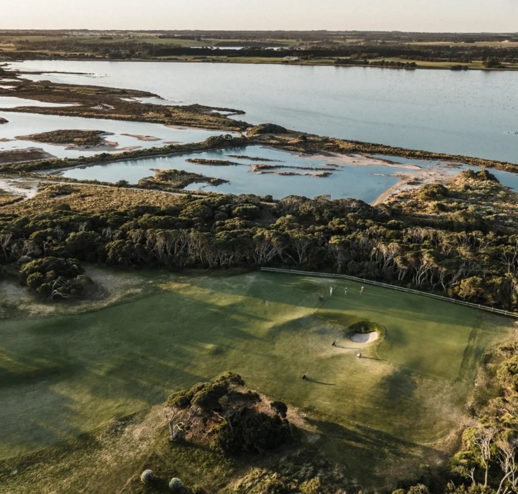 bellarine golf club