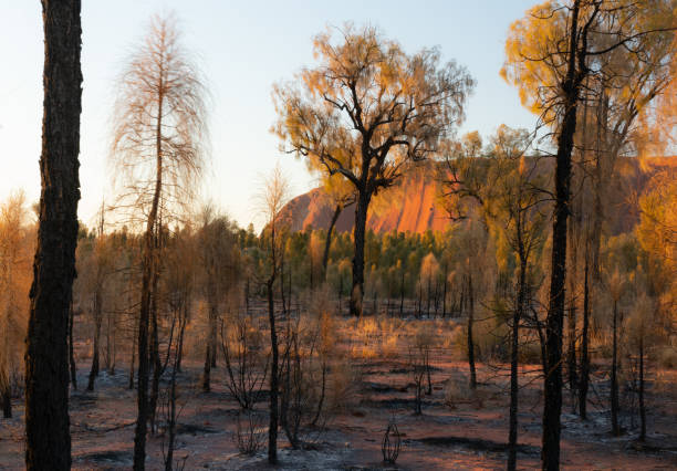 Discover Uluru on a 2-Day Expedition